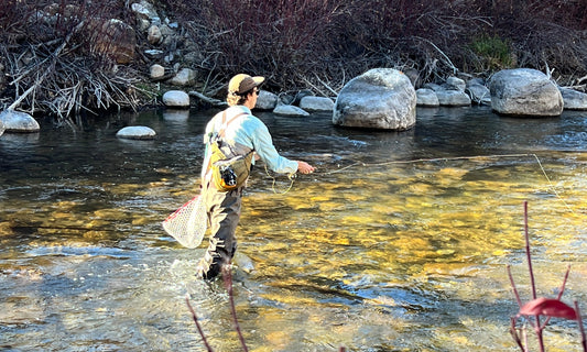 An Effortless Solution for Hands-Free Fishing: The Rod Roost